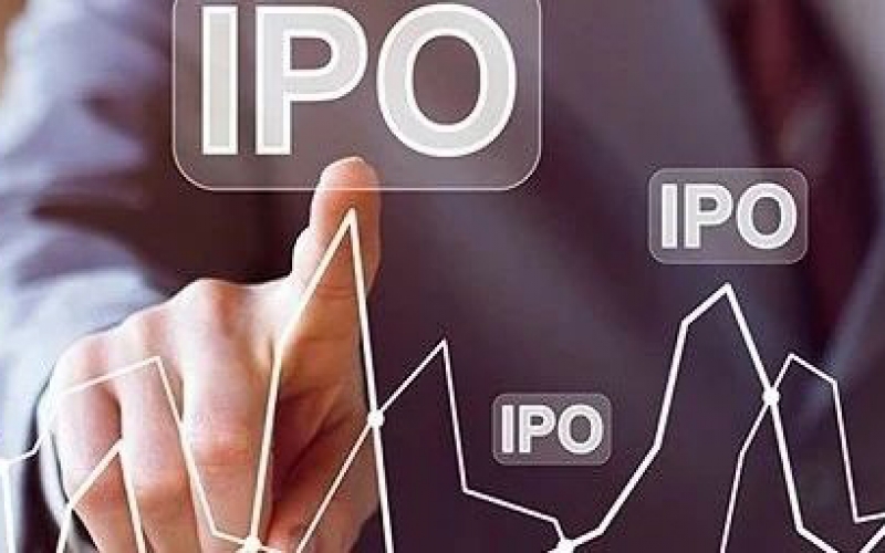 结果公布！全国首例IPO被否诉交易所案裁决出炉