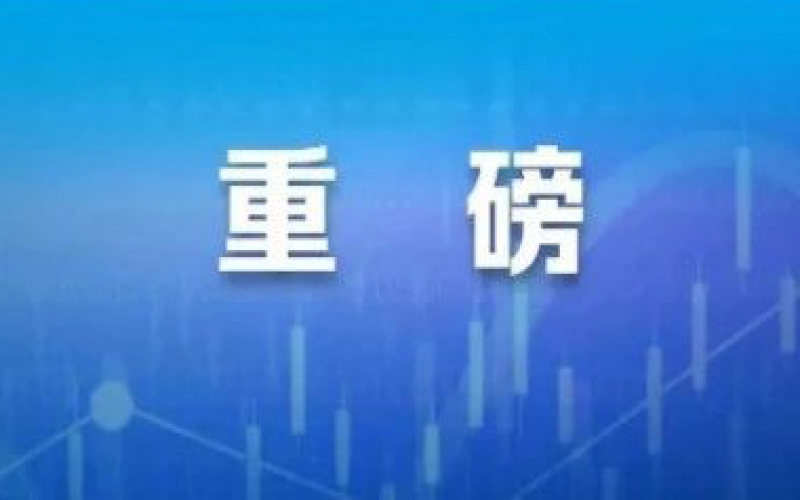 打击资本市场财务造假，最新政策来了