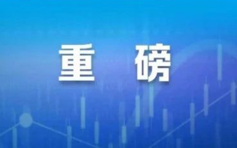 突发！立信会计师事务所被监管警示！